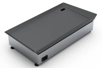 View of the ELQ3000 electric barbecue, a modern appliance for preparing food on a plate.